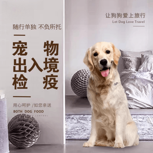 遵义市宠物托运到哥伦比亚猫狗宠物入境规定和