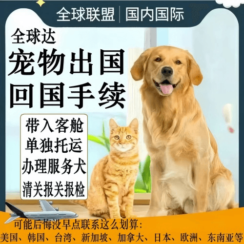遵义市宠物托运到柬埔寨宠物入境规定和要求