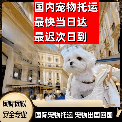 遵义市到澳大利亚（澳洲）宠物入境规定和要求